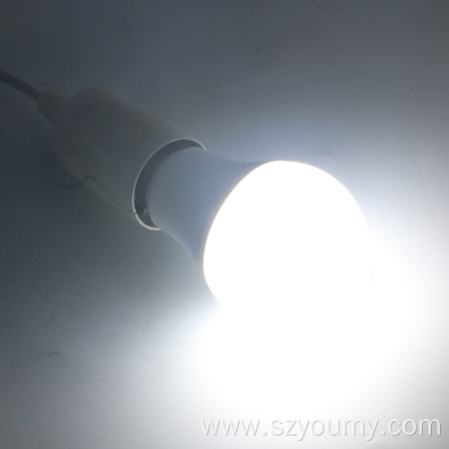 E27 PIR Movement Sensor Bulb